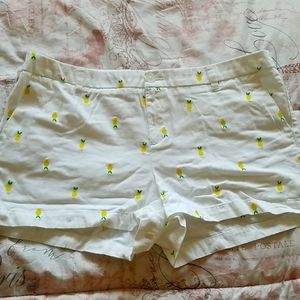 Merona Sunny Lemon Shorts Size 16